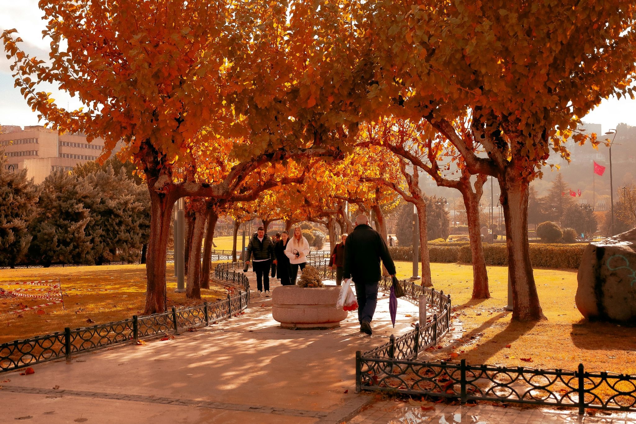 group of people walking in a park 