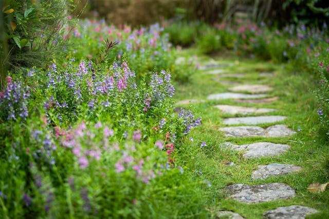 calm-garden